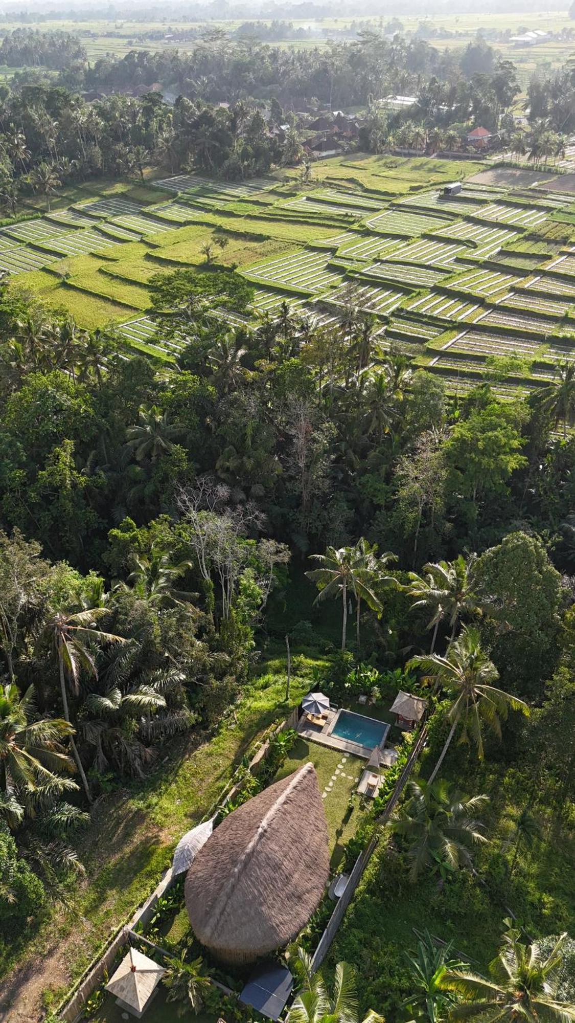 Pitu, A Punggul Village Escape Sangeh Экстерьер фото